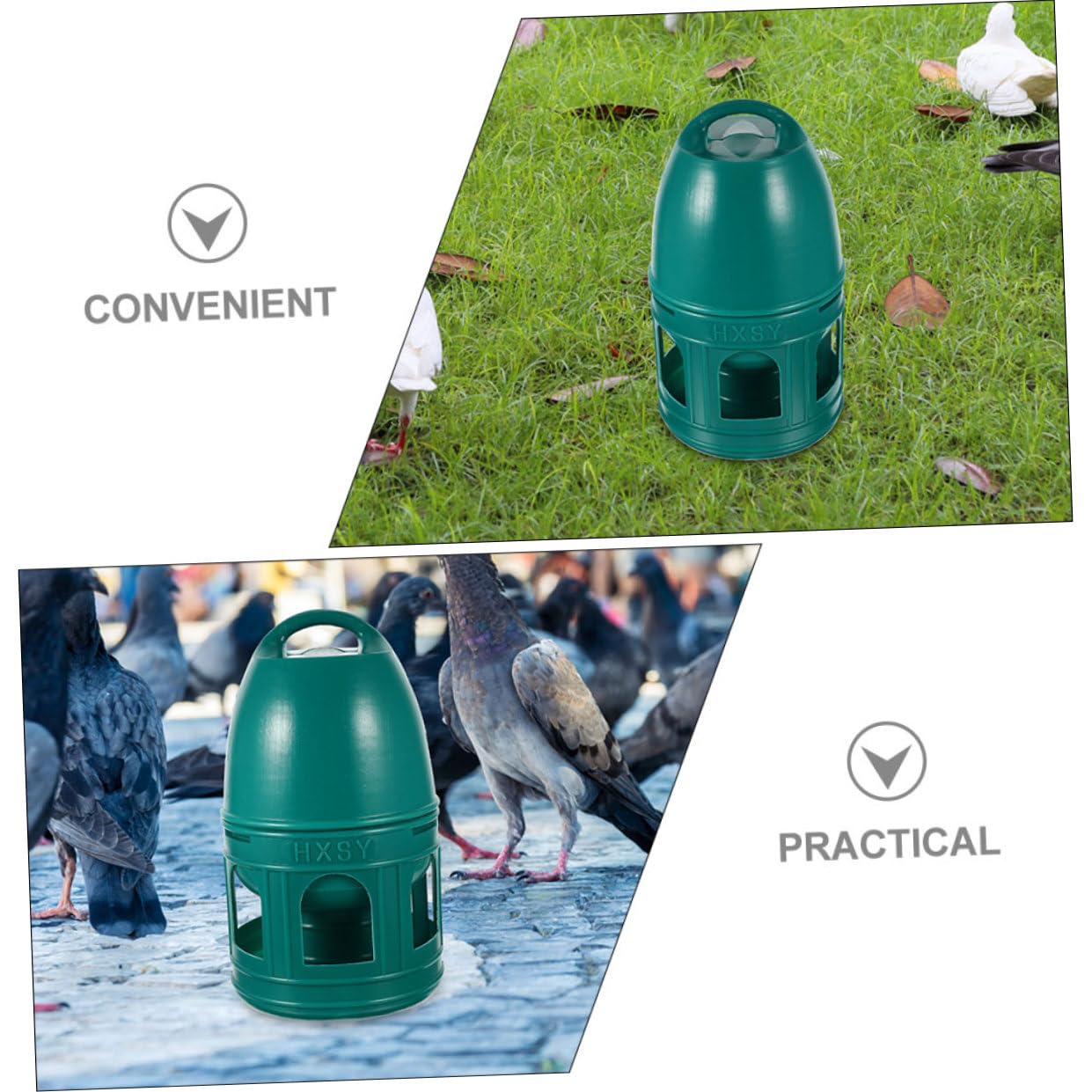 Abreuvoir à Pigeons 10 L en Plastique Vert, Rond, Poignée