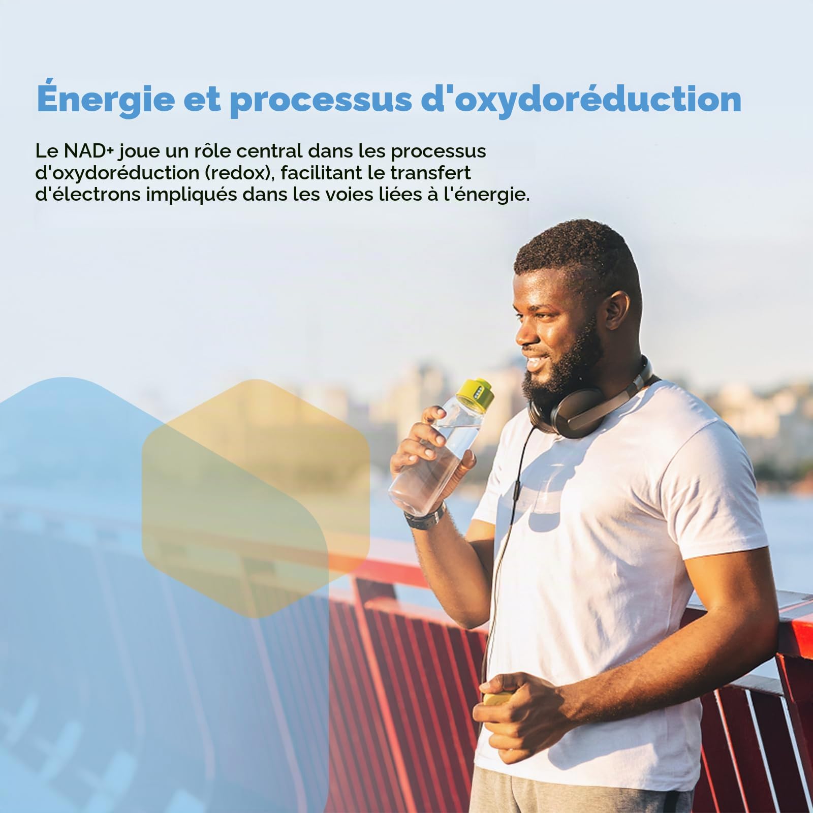 Liposomales NAD+ Gélules 500 mg avec TMG 250 mg, soutient l'énergie cellulaire, 60 gélules (60 Unité (Lot de 2))