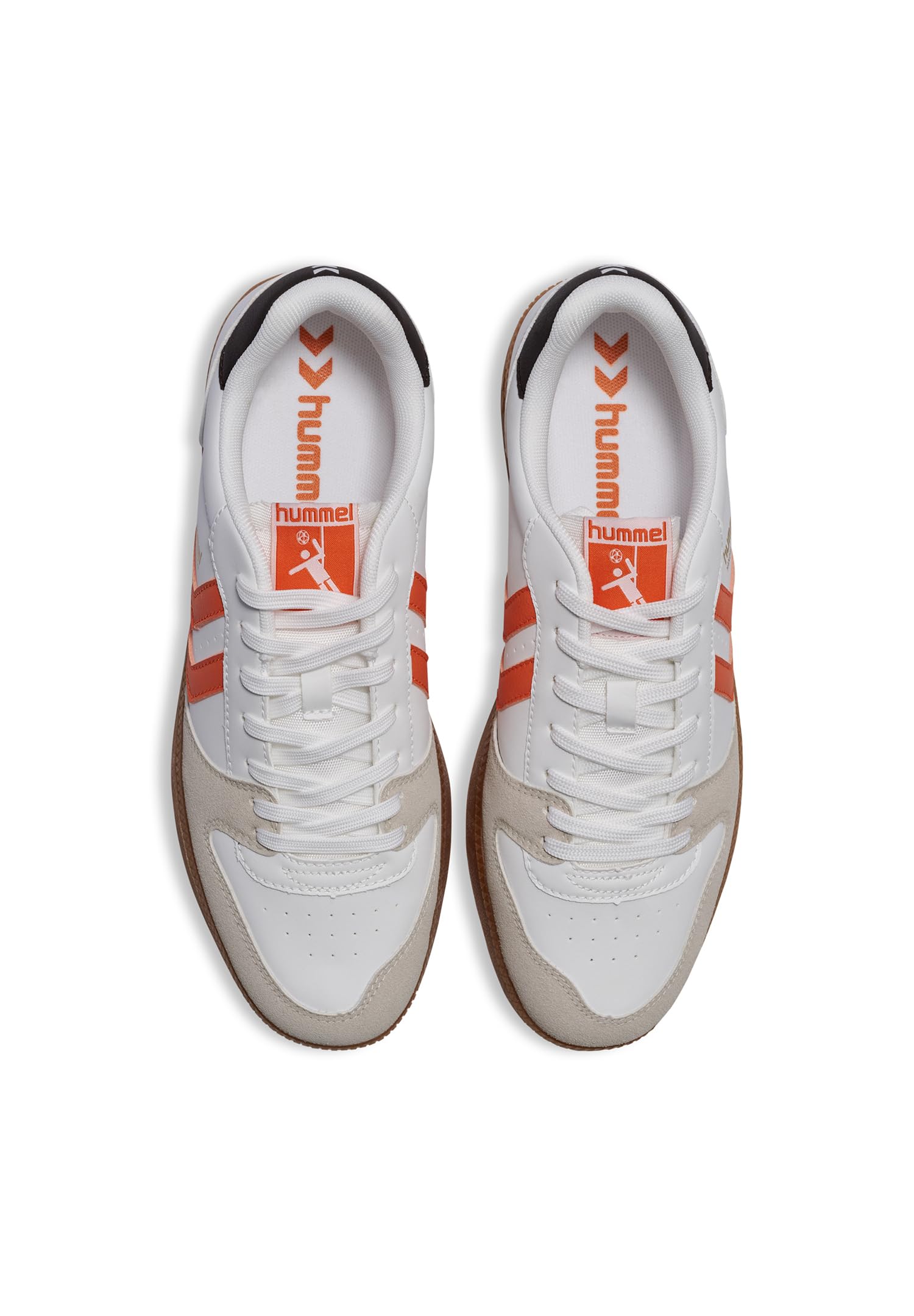 Hummel – Bild 5