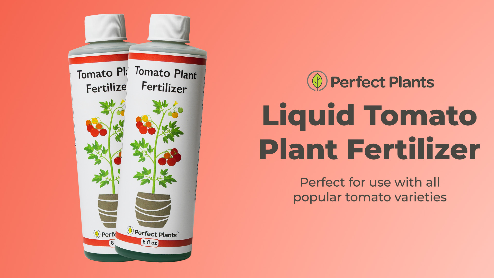 Amazon.com : Perfect Plants Tomato Plant Fertilizer in 8oz. Bottle | Help  Your Vegetable Garden Thrive | Rich in Essential nutrients : Patio, Lawn &  Garden