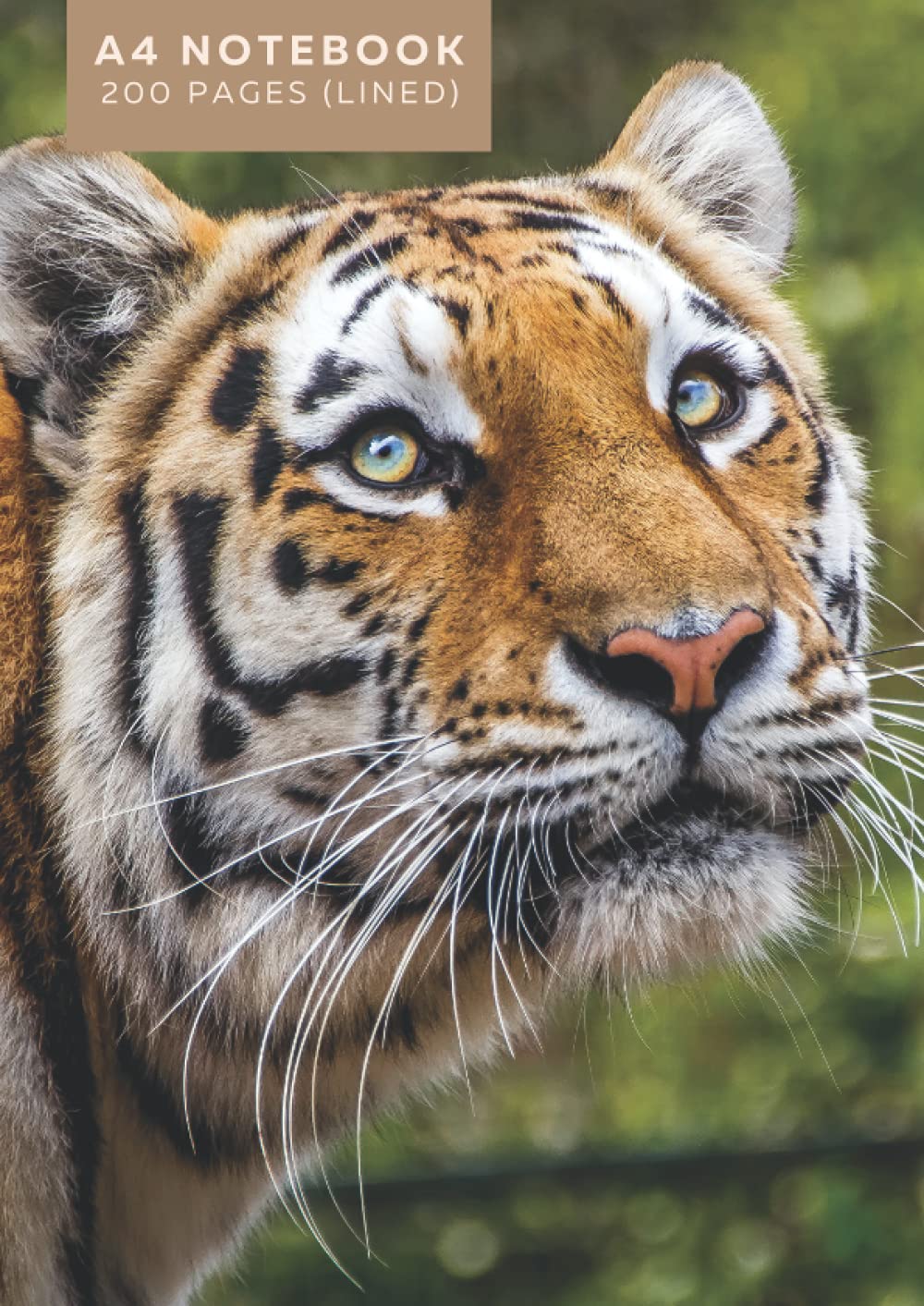 Large Notebook A4 Lined: Non-Wired Notebook with 200 Pages | Large A4 Size (210 x 297 mm) | Journal Writing Pad with a Photograph of Tiger on the cover