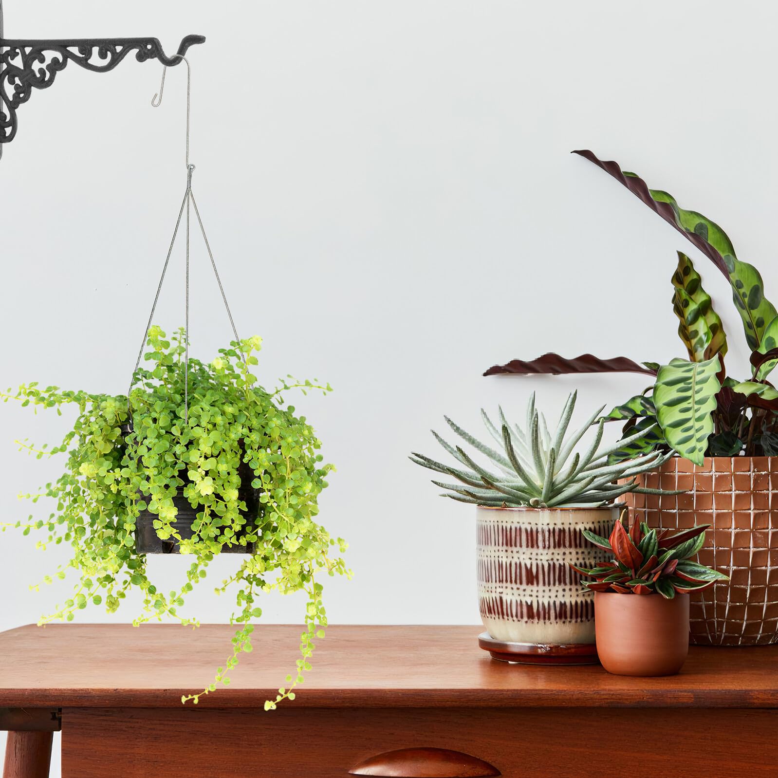 ibasenice Crochet en Fonte Noir Vintage pour Jardinières Suspendues, Support Robuste avec Vis et Écrous, pour Jardin et Extérieur, Maintien Sécurisé des Pots Métalliques