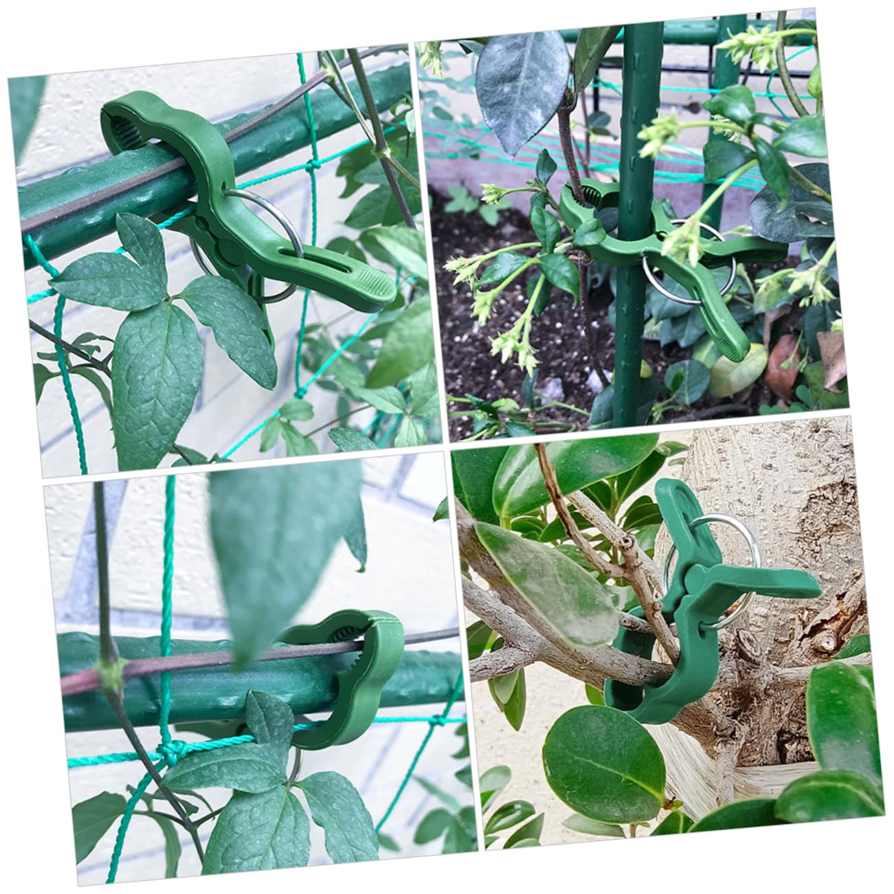 BESPORTBLE 3 Sätze Gartenclip-Set Stützclips Für Pflanzenstämme Abstecken Pflanzen-stützklammern Gitterclips Bieger Gartenclips Pole Kirschtomaten Stangen Stand Fix Green Plastik 60 Stück * 3