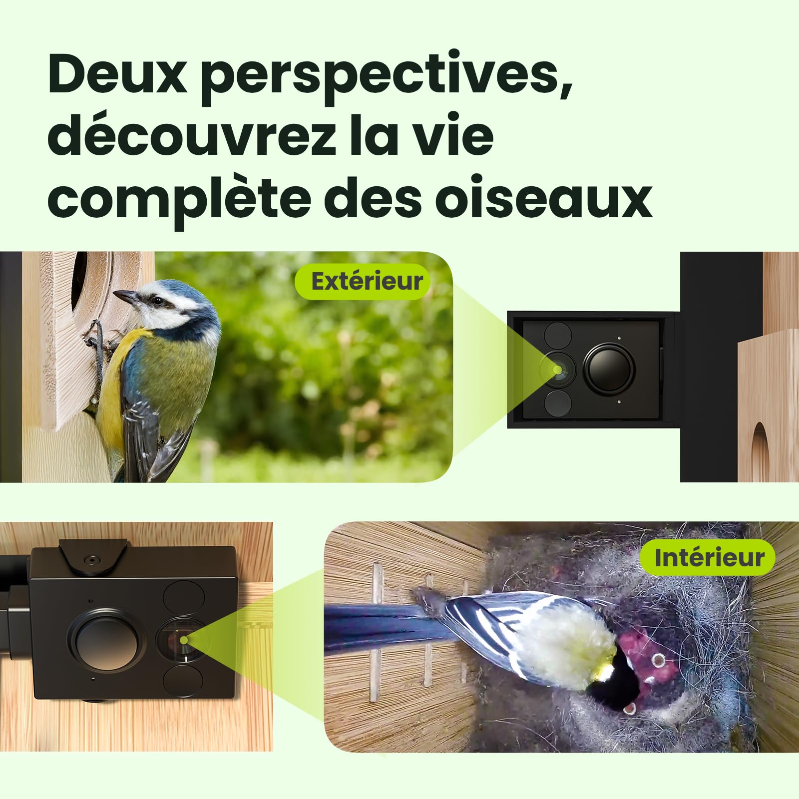 Birdfy Nichoir Oiseaux avec Double Camera pour l'observation en Direct, 1080P Bambou Nichoir Mesange avec Vision Nocturne, Analyse du Comportement par IA avec Alertes et Enregistrements Automatiques