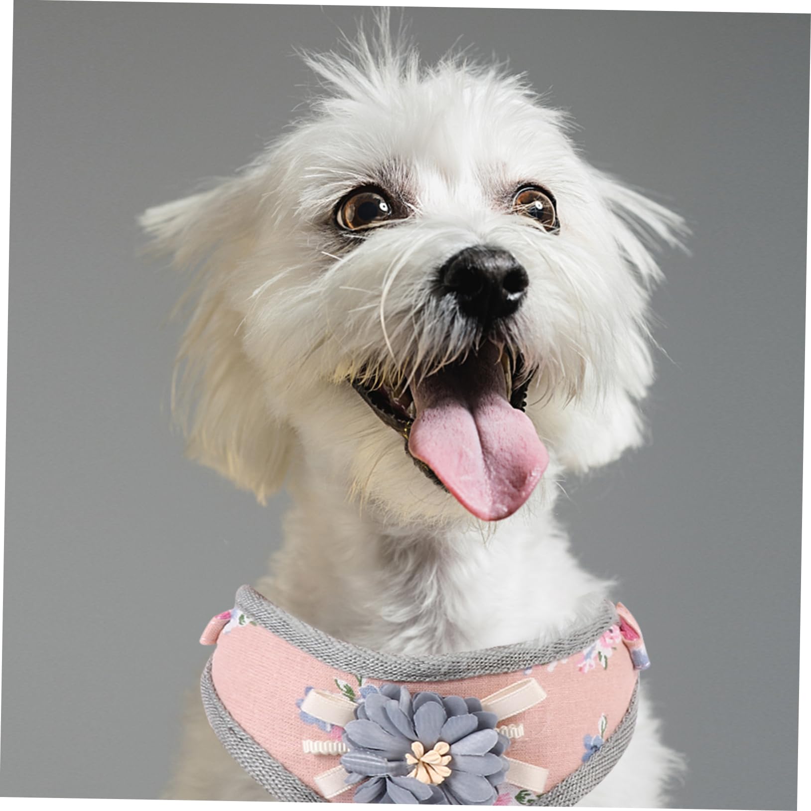 Beavorty 3 Set Set Gilet Medio Per Cani Set Design Floreale Set Per Animali Domestici E Guinzaglio Comodo Protettore Toracico Per Cani