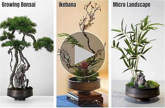 Amazon.com: Japanese Ikebana Vase Kit, Flower Shallow