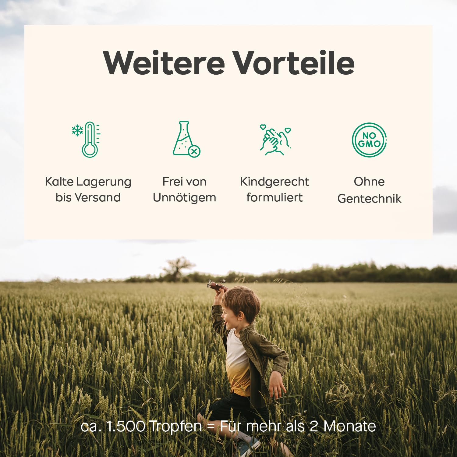 Omega 3 Kinder Tropfen – vegan & nachhaltig – 50 ml Algenöl (66 Tage) – kindgerecht dosiert: 205 mg DHA + 103 mg EPA pro Tagesdosis – mit Zitronengeschmack - ab 3 Jahren