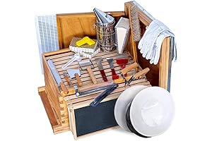 MayBee Beehive Starter Kit: A Comprehensive Beekeeping Haven for Beginners