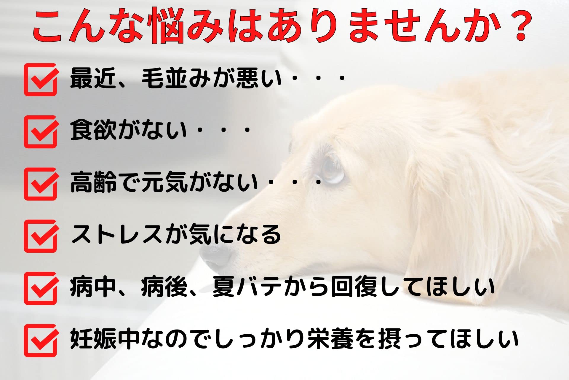 Amazon.co.jp: 【2個セット】AnimaStrath アニマストラス 顆粒 Amazon.co.jp: 【2個セット】AnimaStrath アニマストラス 顆粒