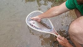 Review Image by CODiscGo CODiscGo