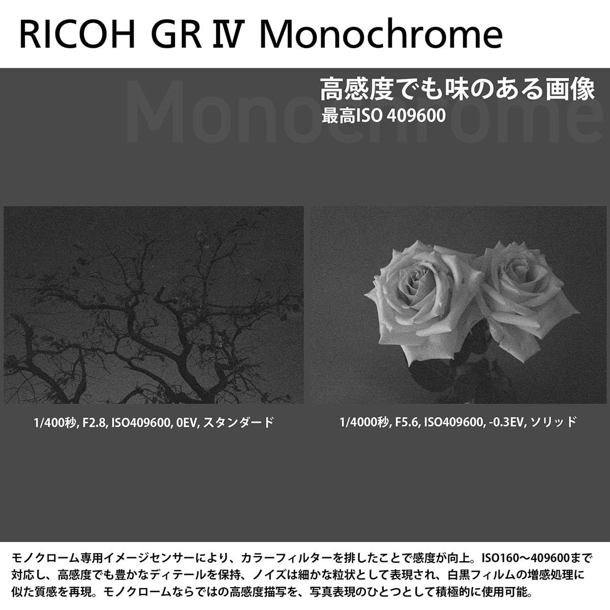 Amazon | RICOH GR IV Monochrome 【モノクローム専用イメージセンサー