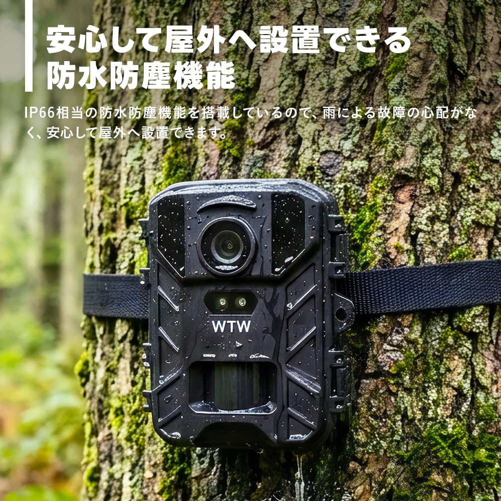 Amazon.co.jp: WTW 塚本無線 トレイルカメラ 動画4K800万画素 防犯