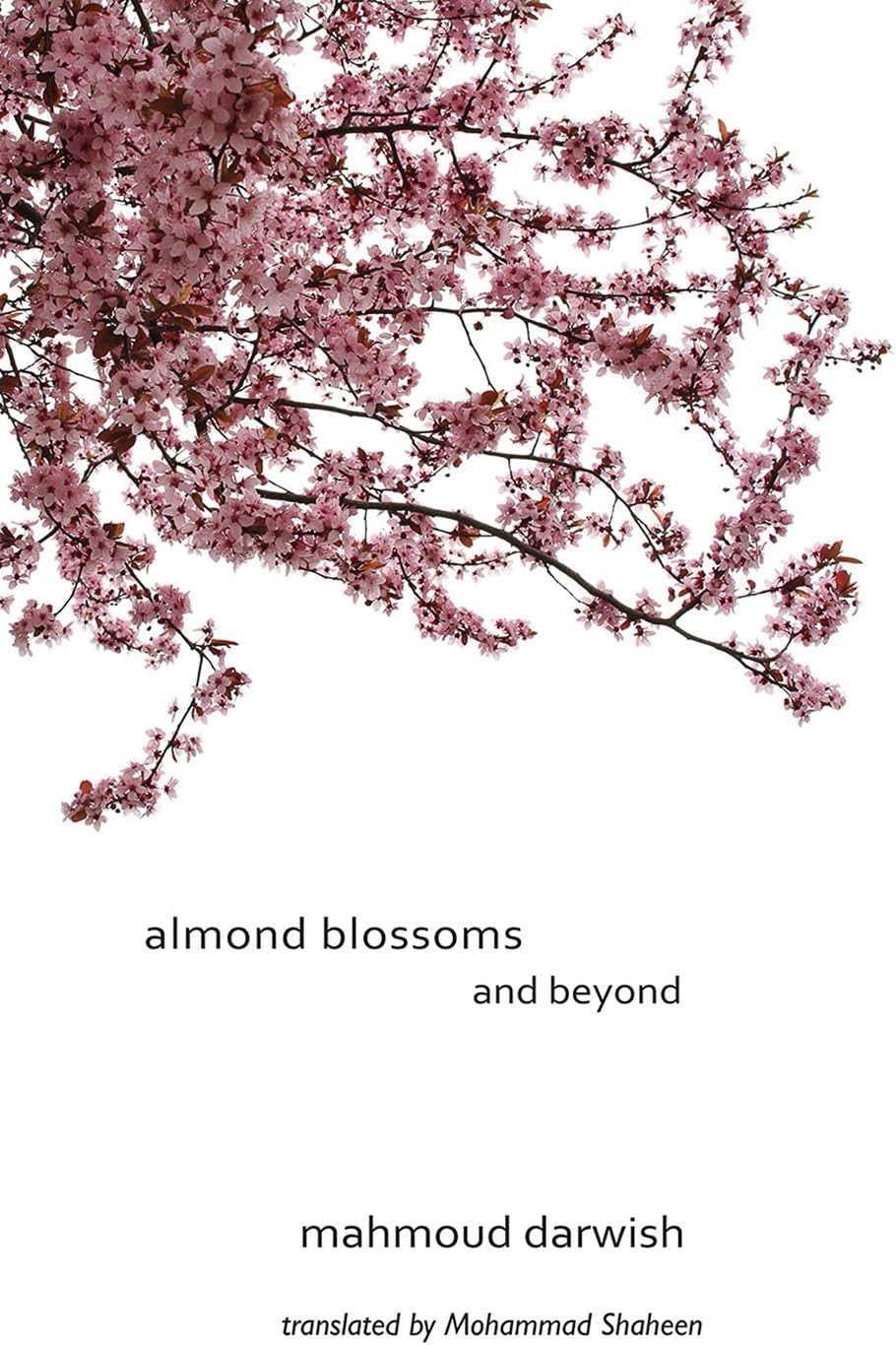 Almond Blossoms and Beyond Paperback – September 1, 2010