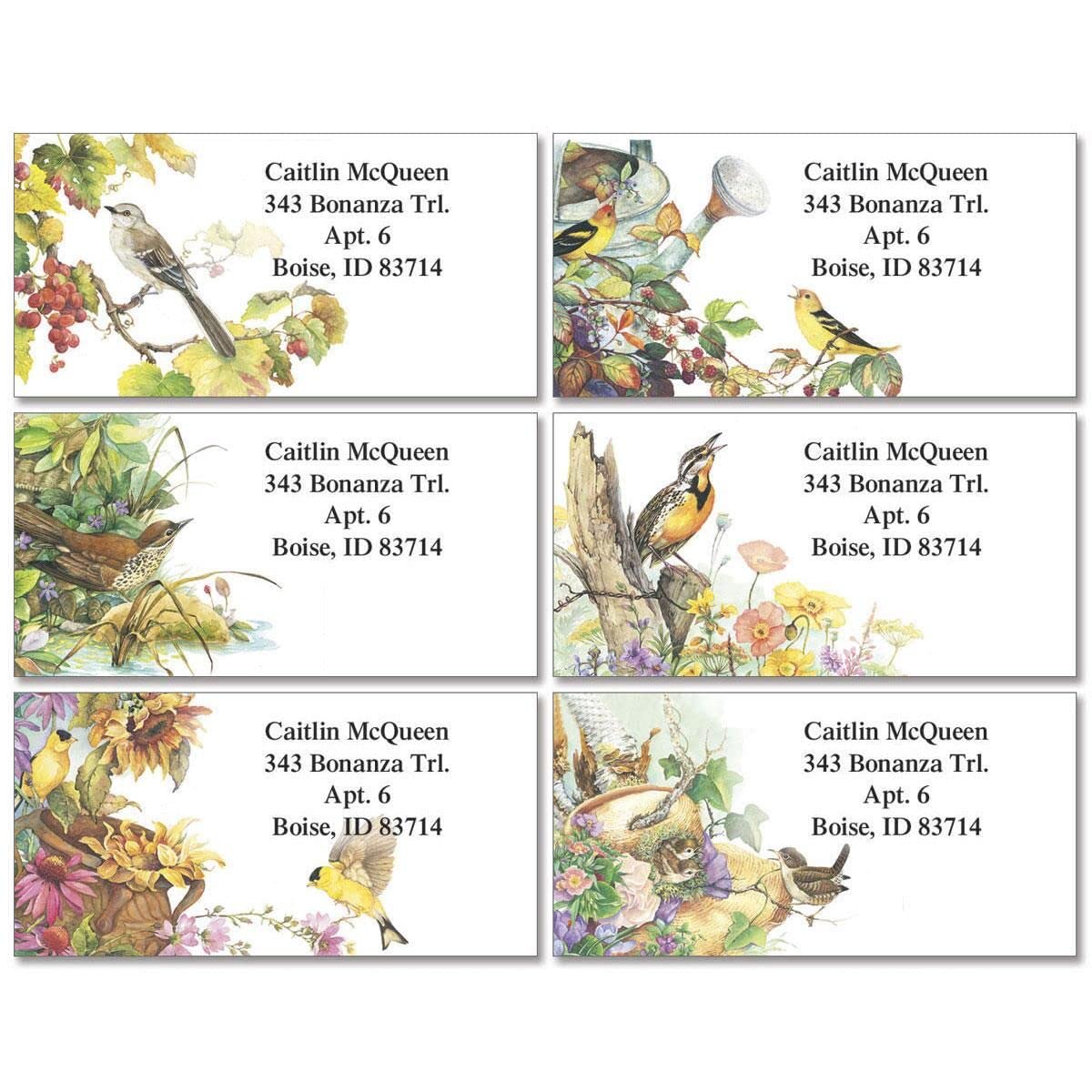 Colorful Images Songbirds Return Address Mailing Labels, Personalize with Name & Addresses, Set of 144 Self Adhesive, Easy Peel Flat Label Sheets, 1 ⅛