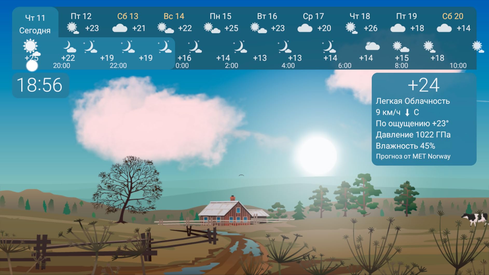 Vue 11