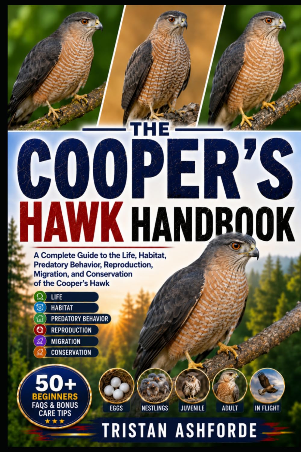 COOPER'S HAWK HANDBOOK: A Complete Guide to the Life, Habitat, Predatory Behavior, Reproduction, Migration, and Conservation of the Cooper's Hawk