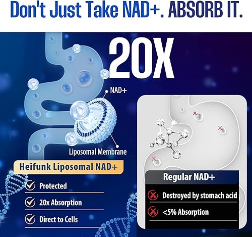 Miniatura 6 de Suplemento NAD, NAD liposomal + suplemento con resveratrol para mujeres y hombres, apoya la energía celular, la concentración y el envejecimiento