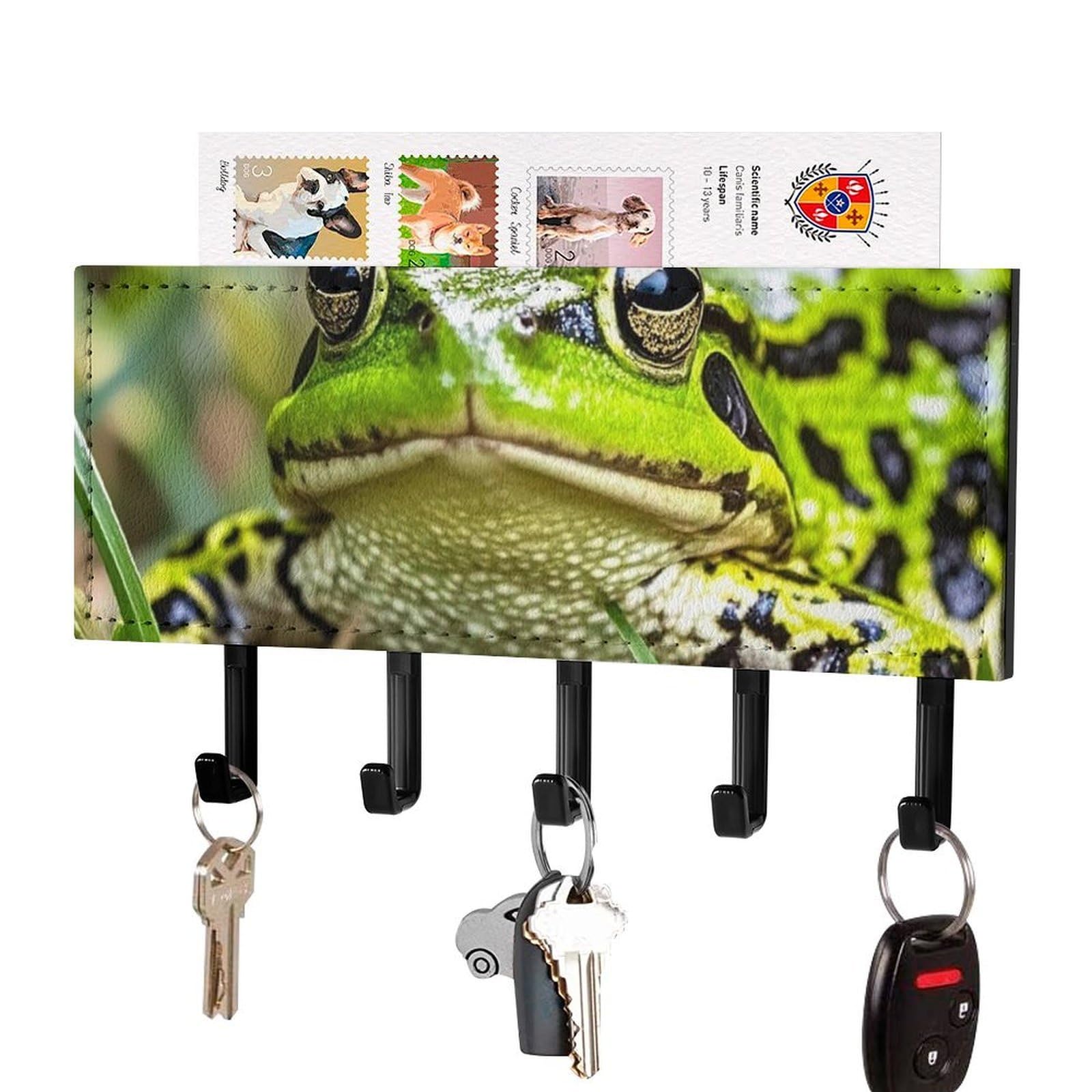 FekiLoot Frog Key Holder Wall Mount Key Hanger with 5 Hooks Decorative Key Rack Hanging Key Hooks with Mail Organizer Key Holder for Wall Living Room Kitchen Bathroom Hallway Black