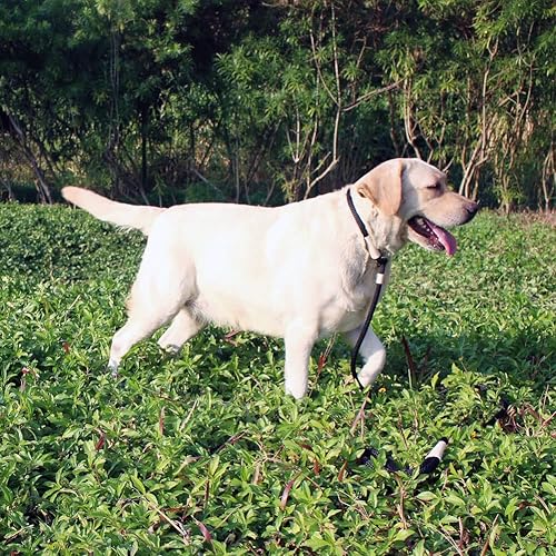 Miniatura 10 de Correa de nailon para perros, correas para mascotas, mango suave y grueso, gancho fuerte de 6 pies y correa de plomo deslizante para perros grandes,