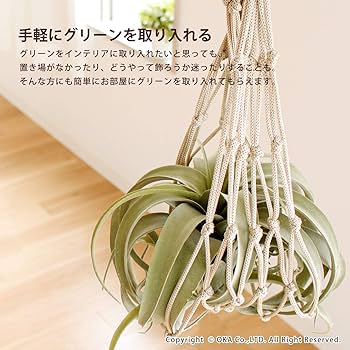 ぶらさげるやつ Amazon｜オカ(OKA) PLYS つるして収納 ツット グレー