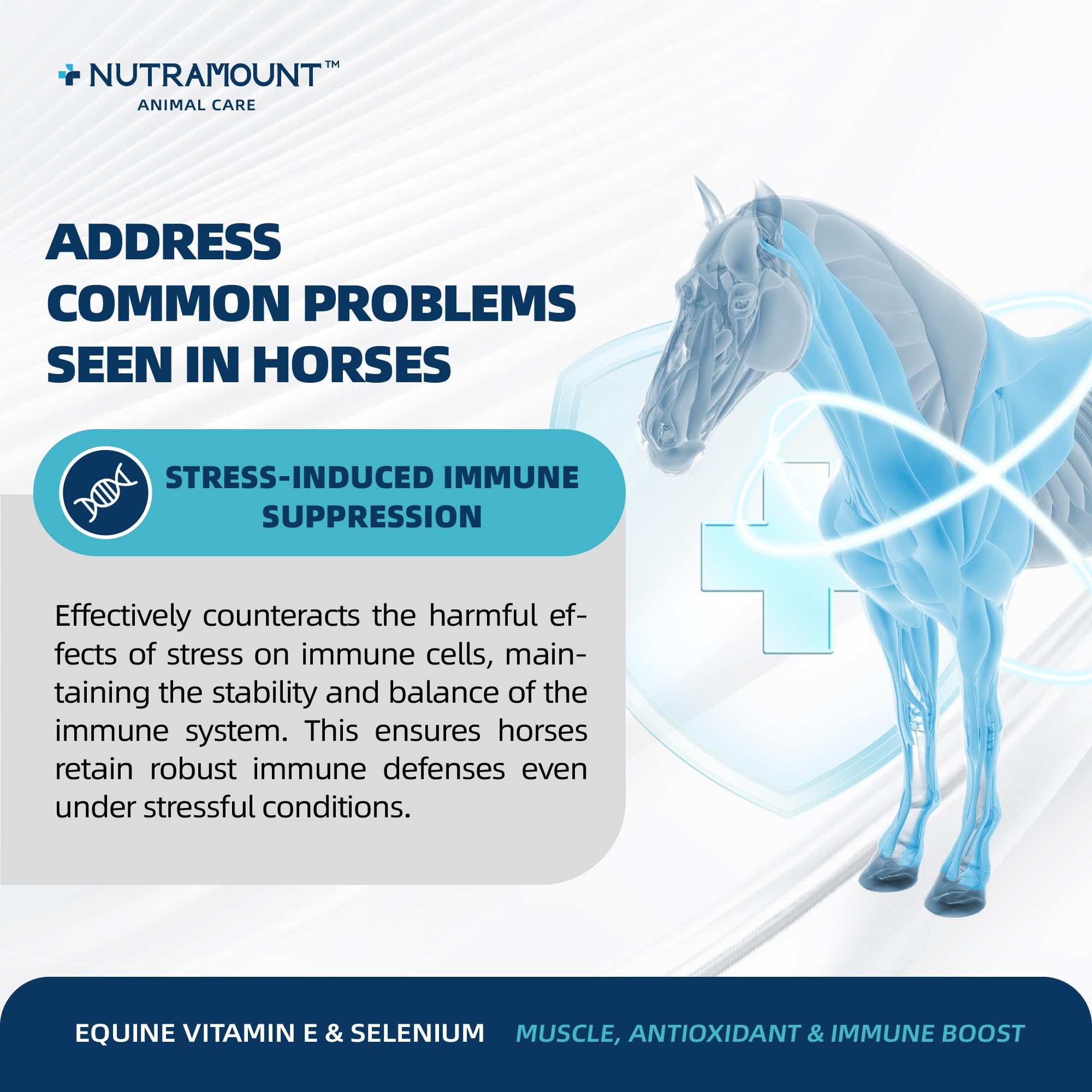 Horse Vitamin E & Selenium Supplement Powder – Natural Vitamin E 24% & Yeast Selenium – Daily Equine Antioxidant & Muscle Support – 100 Day Supply — Amazon image 3