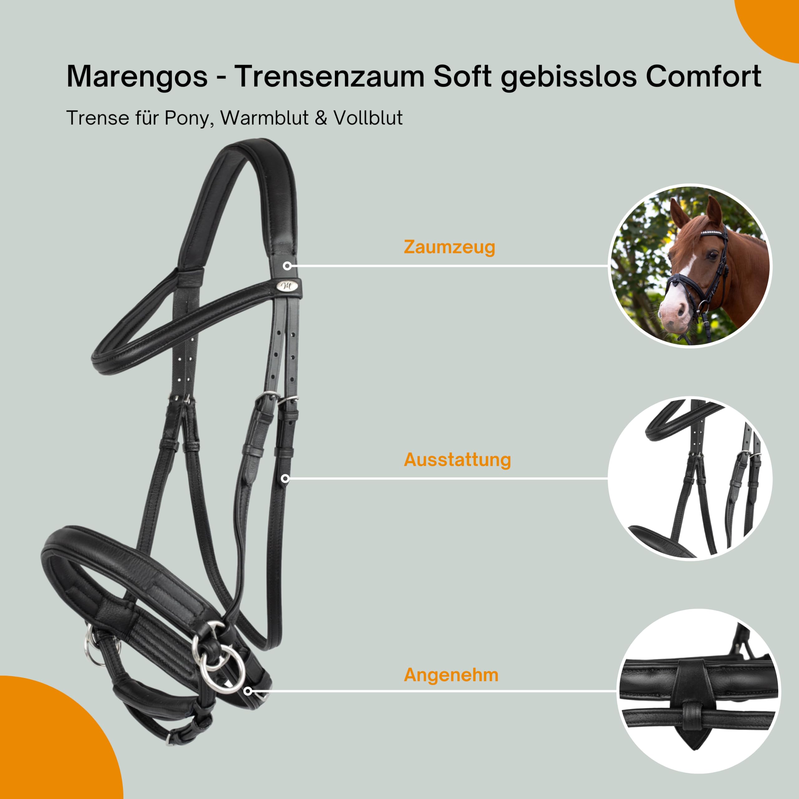 Marengos - Trensenzaum Soft gebisslos Comfort | Trense aus Leder & mit anatomisch geformtem Genickstück | Zaumzeug mit Zügel & Edelstahlbeschlägen | Größe Pony | Pferde Zubehör in schwarz | Trense aus Leder – anatomisch geformtes Genickstück – Zaumzeug mi