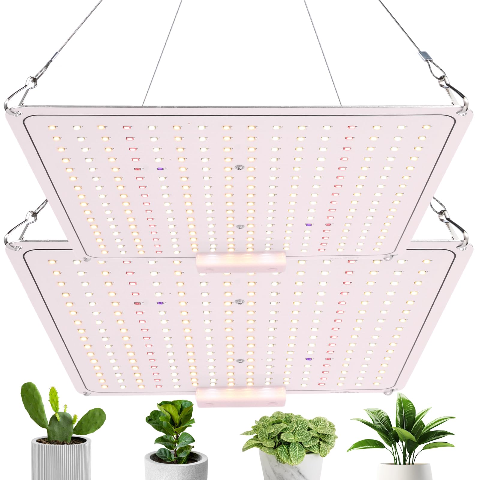 植物育成ライト Amazon.co.jp: 植物育成ライトLED UV/IR 量子ランプ 室内栽培 多肉植物