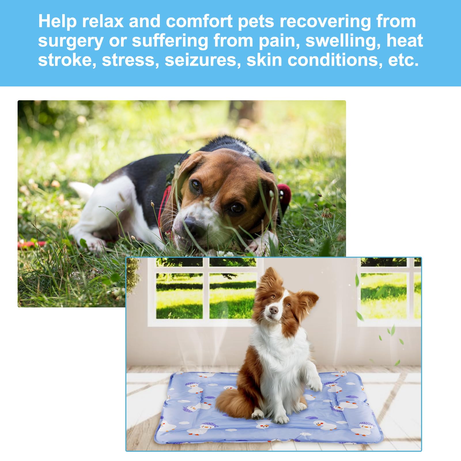 DEWEL Tappetino Refrigerante Cani e Gatti, Materassino Cane 66 x 76 cm, Adatto per Animali Domestici di Peso Inferiore a 15 kg, Raffreddamento Estivo del Lettino per Cani