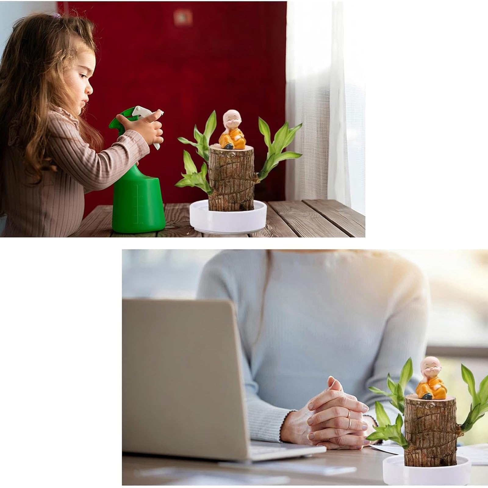 Brasilianisches Glücksholz Mit Statuen - Hydroponische Zimmerpflanze Als Deko