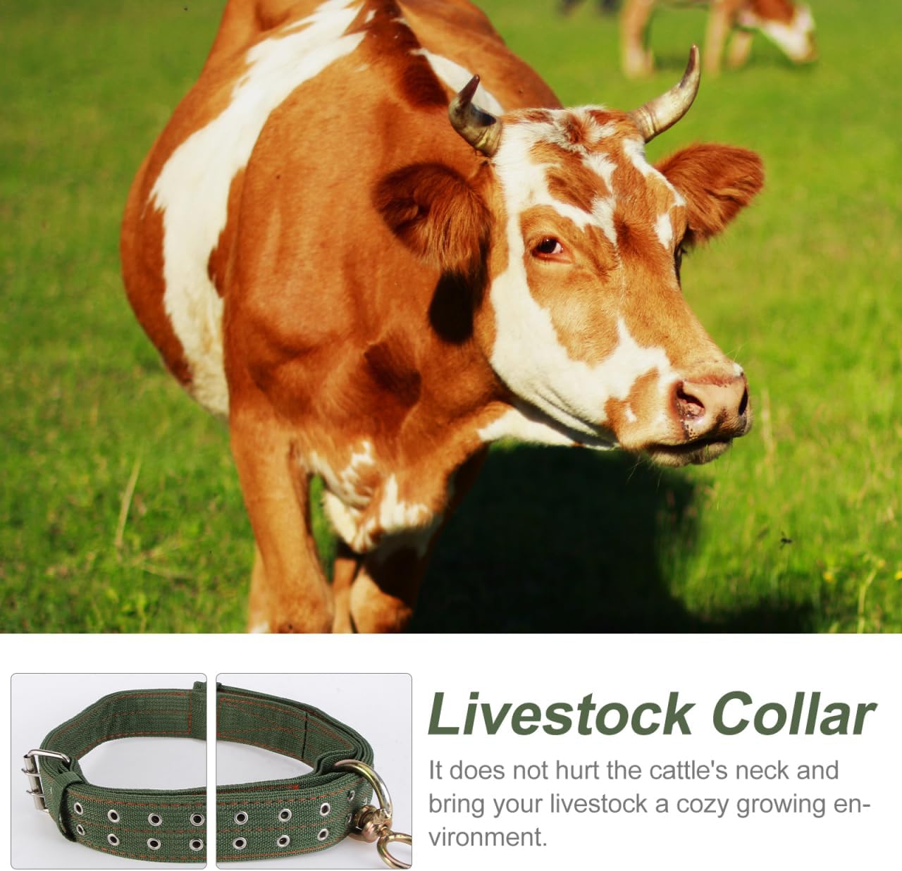 DOITOOL Adjustable Canvas Cow Collar Calf Neck Strap with Buckle 3 Pack Livestock Collar for Farm Animals Sheep Horse