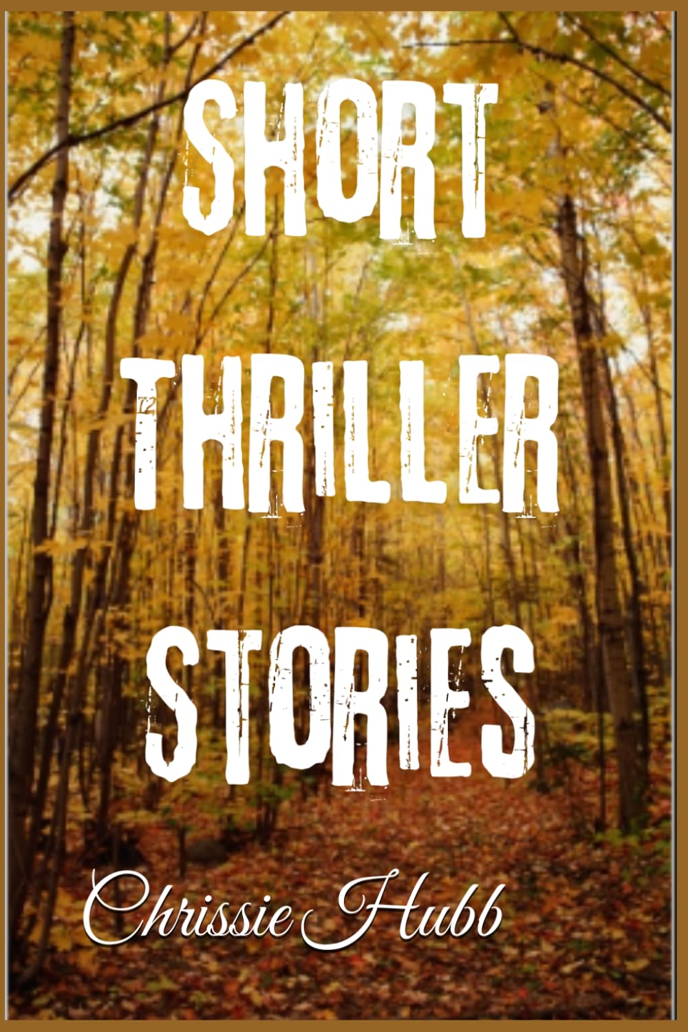 Short Fiction Thrillers: 5 (Short Thriller Series)