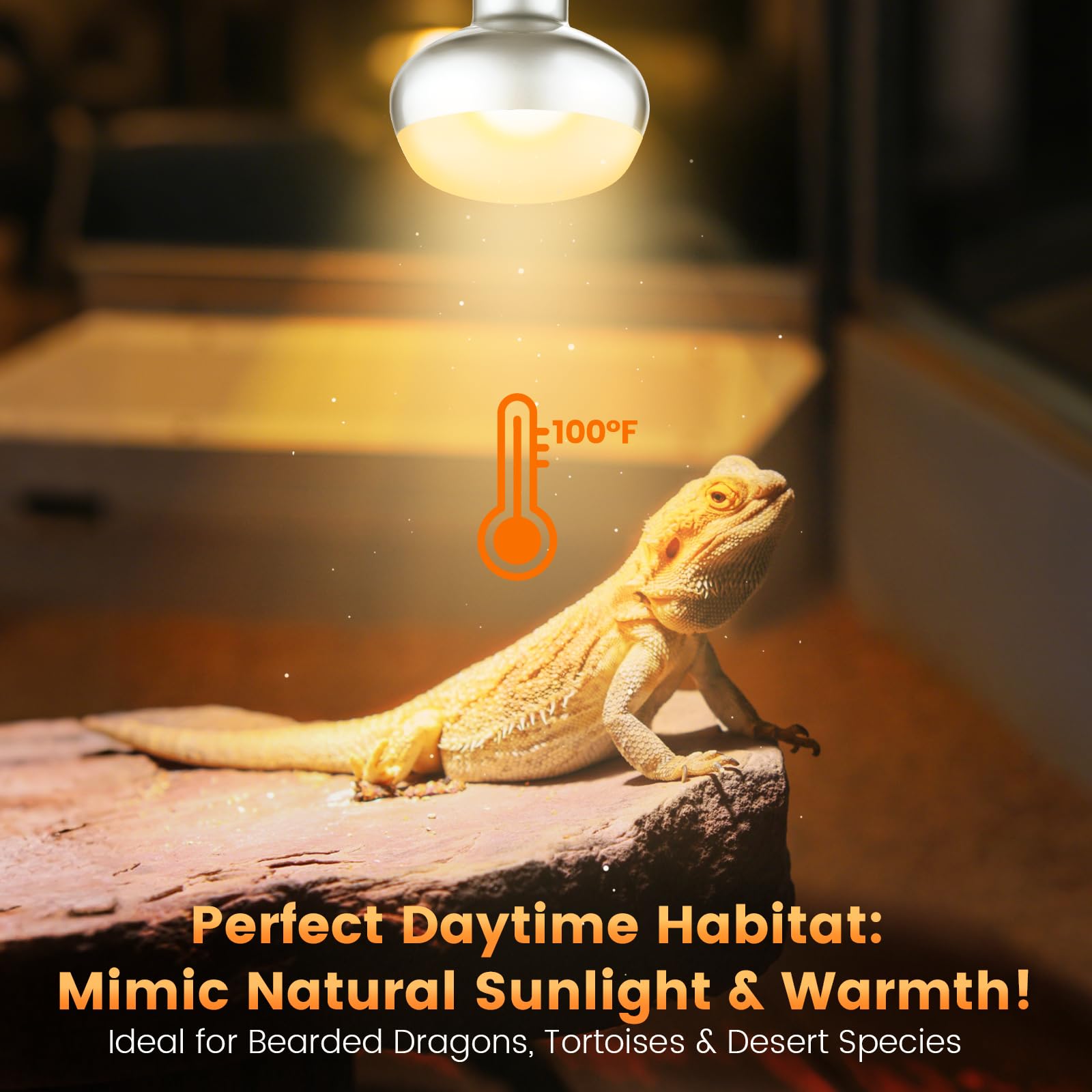 Deep Dome Light Fixture 8.5", Heat Lamp Max 200W, Tank Lighting Fixtures, UVB Reptile Light, Accessories 2 Packs E26 - image 8
