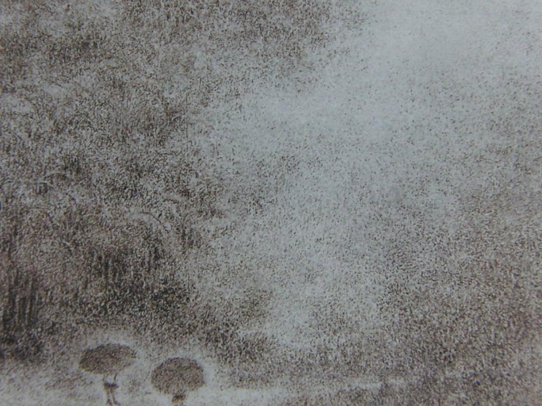 Amazon.co.jp: 高山辰雄、〈雨〉、画集画、高級額額装付、状態良好