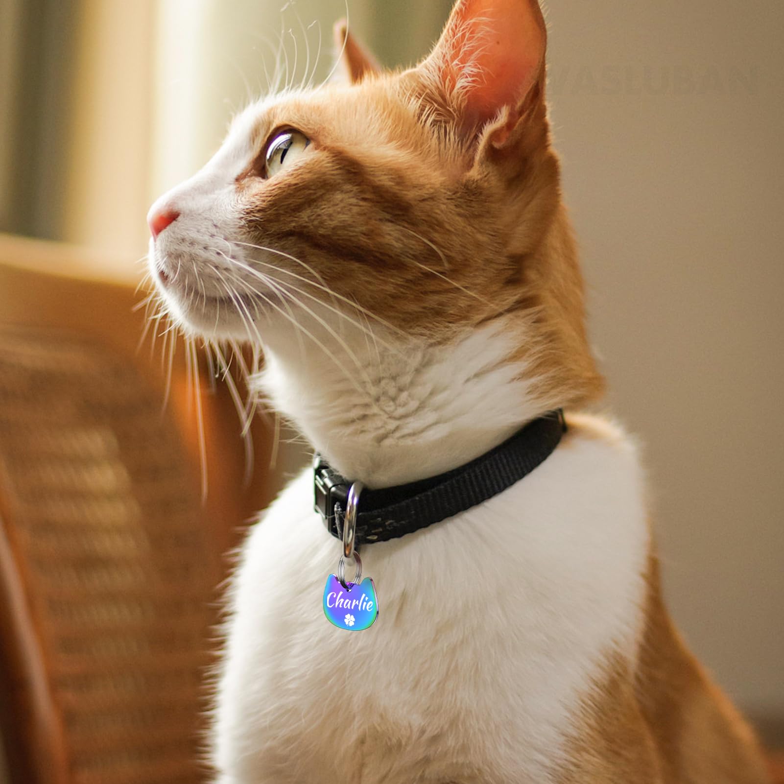 Personalized Dog Tag (Point cat Head)