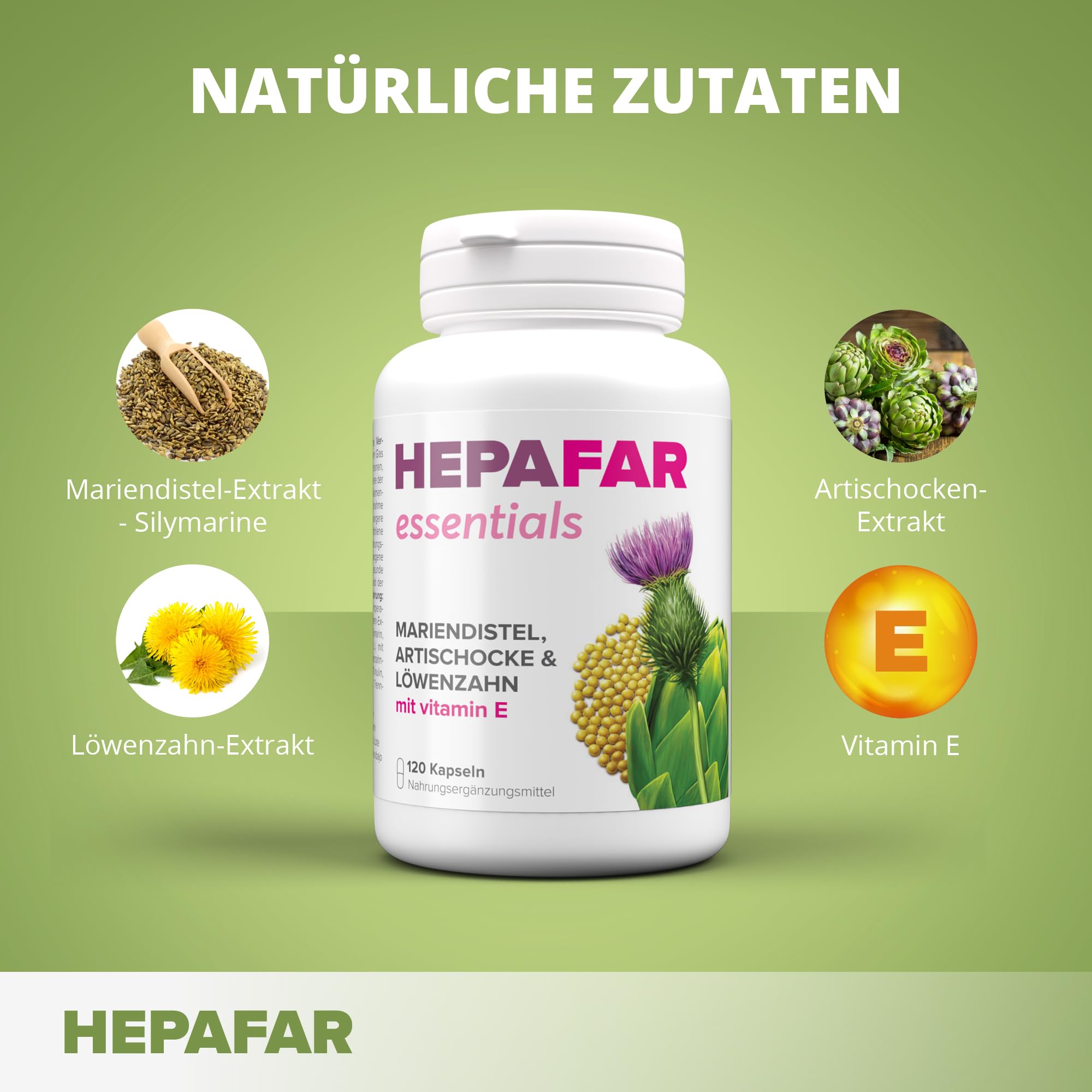Sensilab Leberkur – 120 Hochdosierte Mariendistel Kapseln für 120 Tage – Leber Kur, Leber Komplex & Fettstoffwechsel – Mariendistel, Artischocke, Löwenzahn, Vitamin E – 80% Silymarin – Hepafar