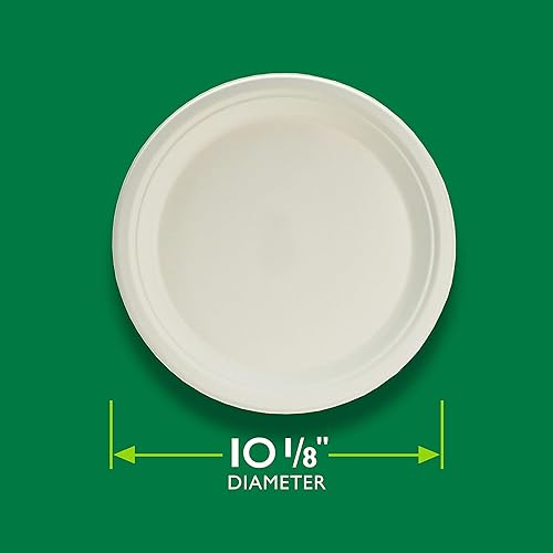 Miniatura 3 de Hefty EcoSave - Platos desechables, hechos de materiales a base de plantas, platos de papel resistentes, platos desechables de 10  pulgadas (16