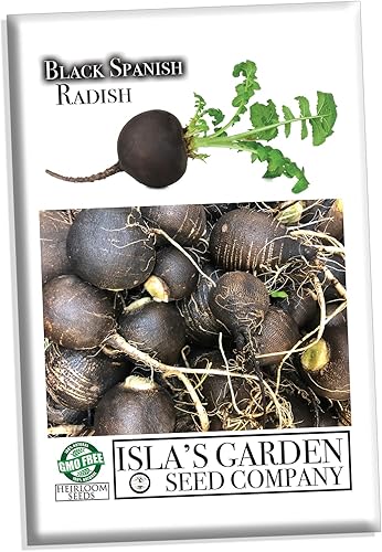 Miniatura 6 de Semillas de rábano "Black Spanish Round" para plantar, más de 150 semillas de reliquia por paquete, semillas de jardín de Isla (semillas de jardín