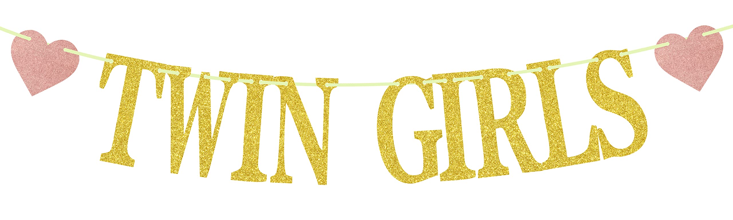 Buy Twin Girls Banner, It's Twins Decorations, Twins First Birthday ...