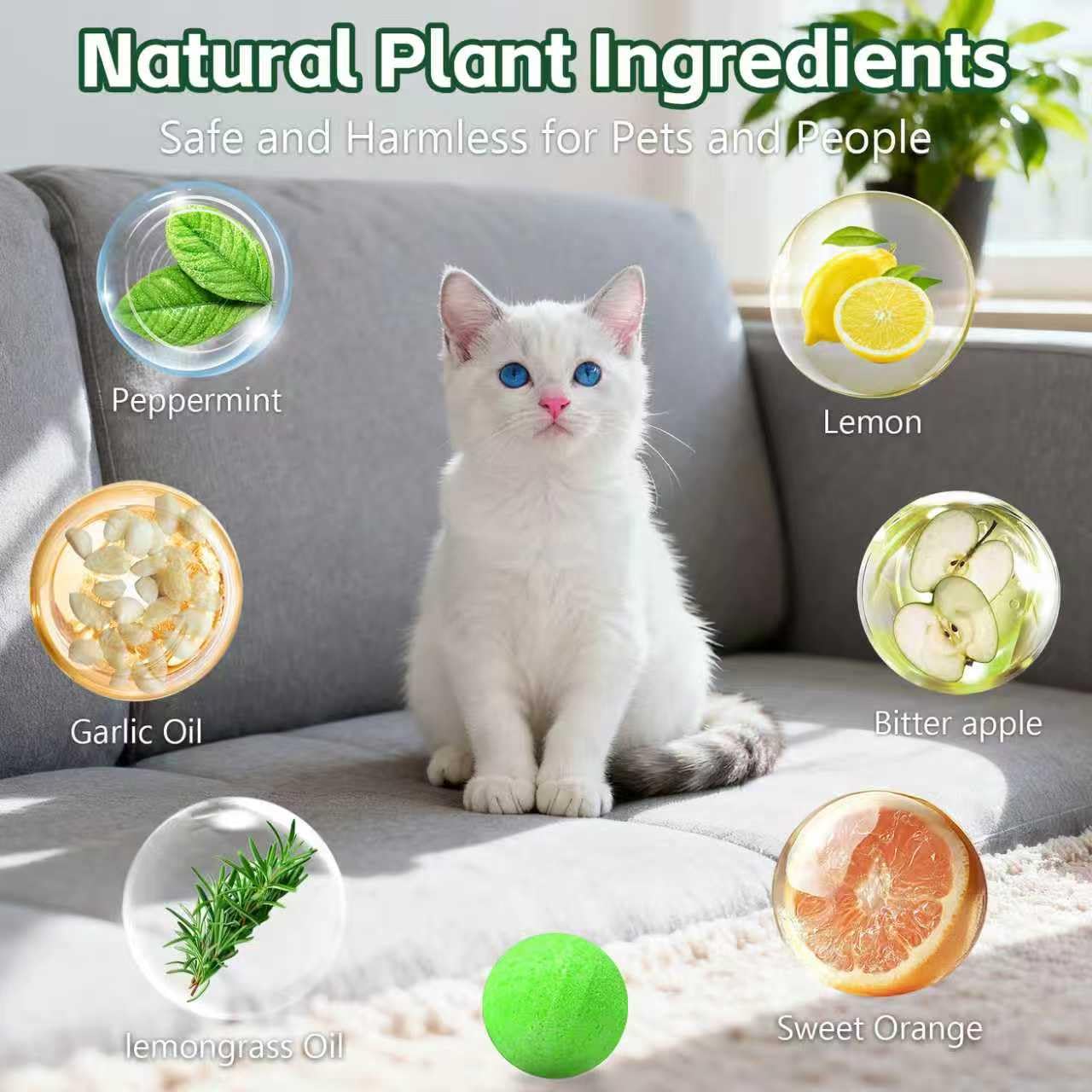 Cat Repellent Outdoor to Keep Cats Away (12Pack) Natural Peppermint Oil Cat Deterrent Outdoor and Indoor (Green) - 3