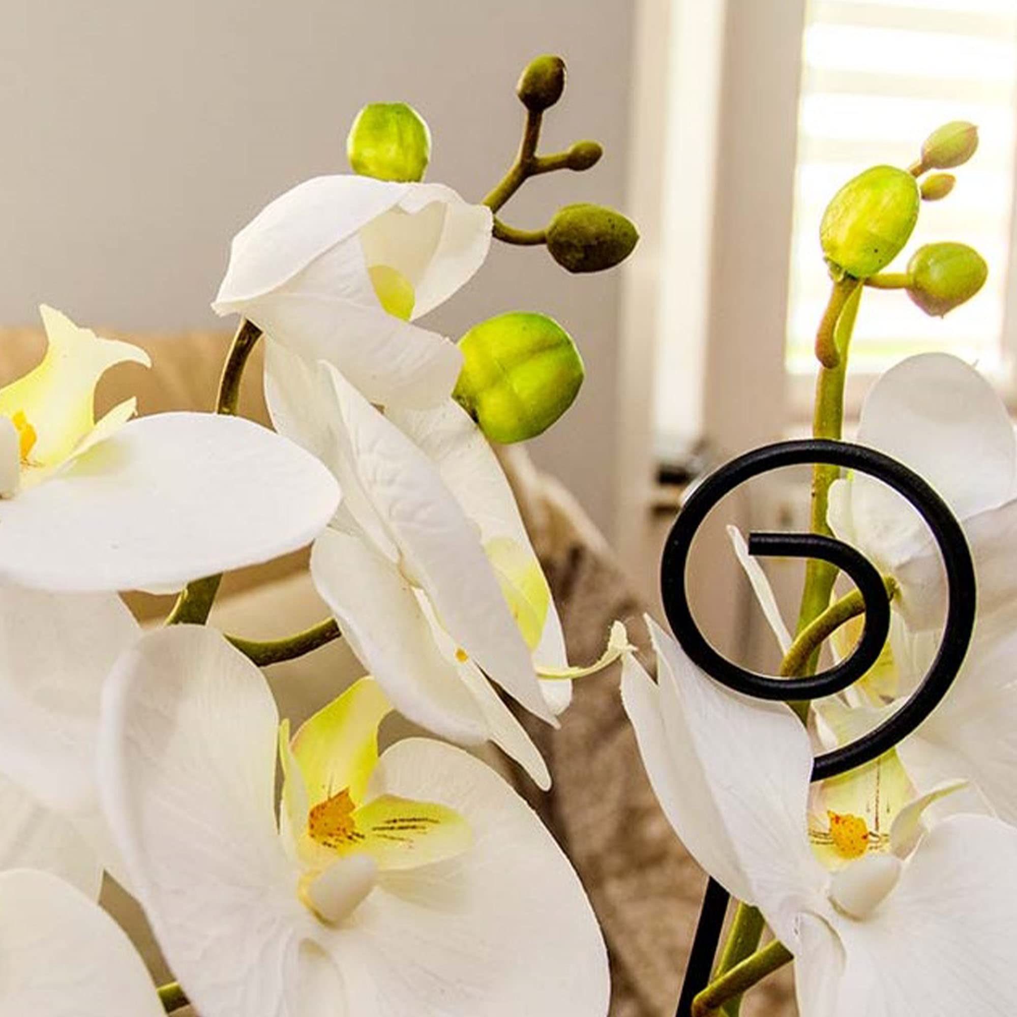KADAX 10er Set Blumensttze, Pflanzensttze aus Stahl, Hhe: 50 cm,  dekorative Sttzstbe fr Orchideen, Blumen, Pflanzen, Zimmerpflanzen,  Blumentopf, Rankhilfe, Rankstbe (Spirale) : Amazon.de: Garten