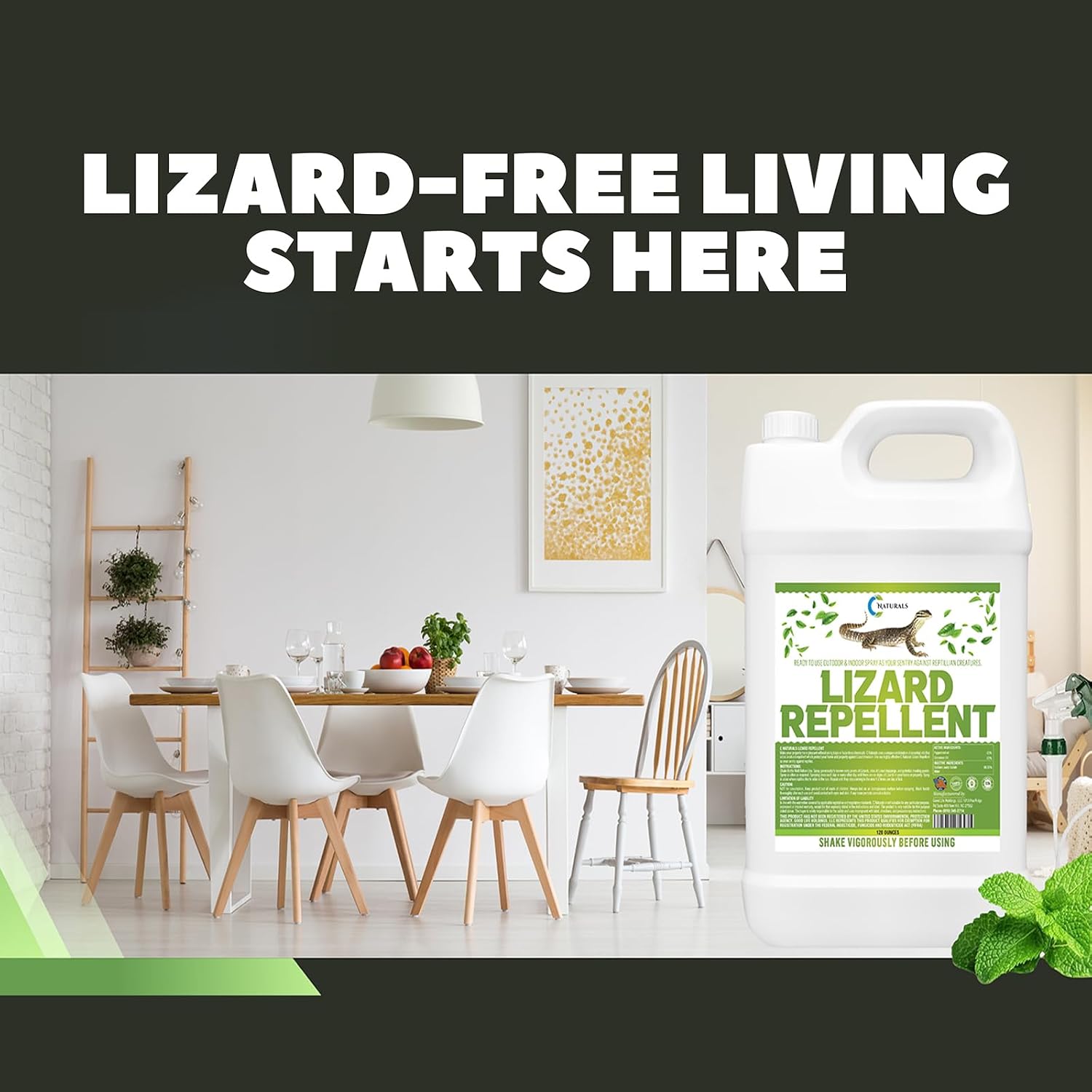 All-Natural Lizard & Gecko Repellent Spray (Outdoor/Indoor) – Reptile Deterrent for Homes, Gardens, Patios