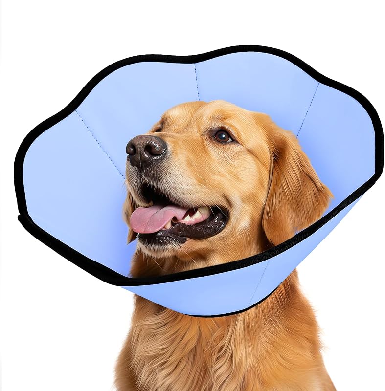 Colar elizabetano macio para cães MIDOG, cone de recuperação ajustável pós-cirurgia, Modelo 351