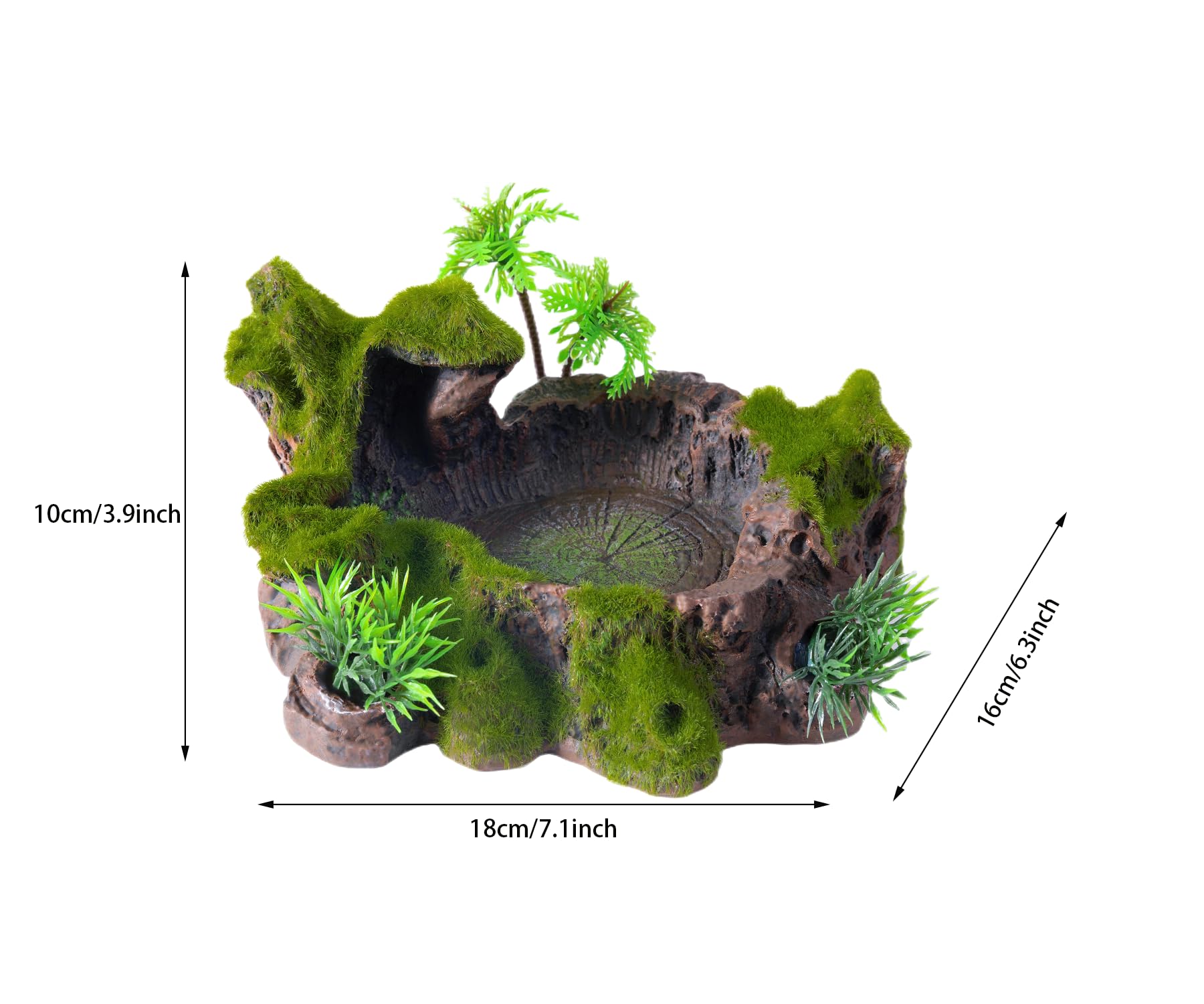 たかはし様用】WORMED / Planisphaerium Wormed - Planisphaerium