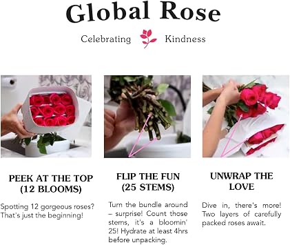 GlobalRose 12 Red Roses Bouquet - Responsibly Sourced Roses Fresh Flowers - Hand-Picked Flowers Fresh Bouquet forValentine's Day, Birthday & Special Occasions (1 Dozen)
