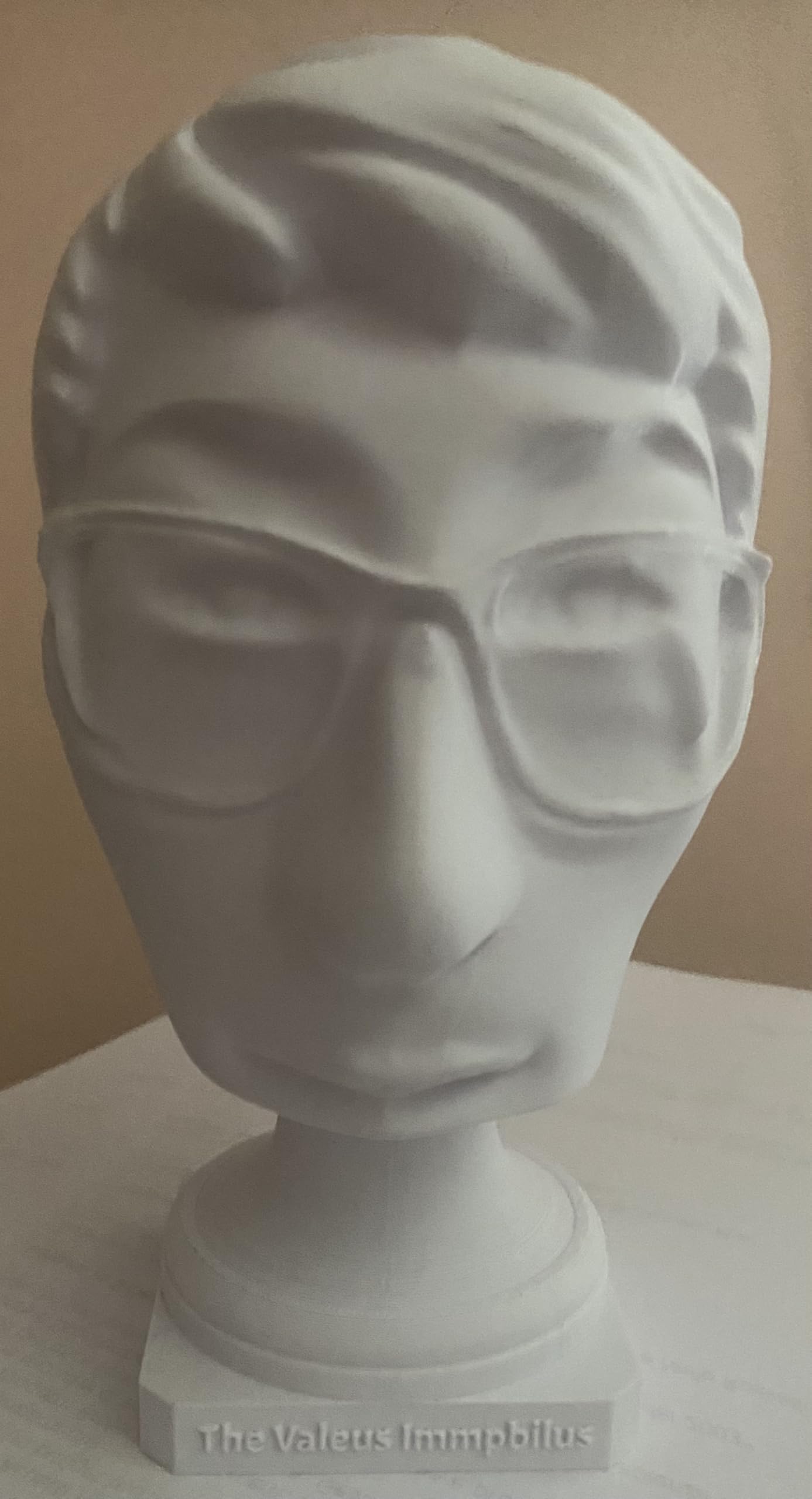 Busto 3D Personalizzato in Materiale Atossico, Stampa 3D di Persone e Animali, 20 x 20 x 35 cm, Bianco