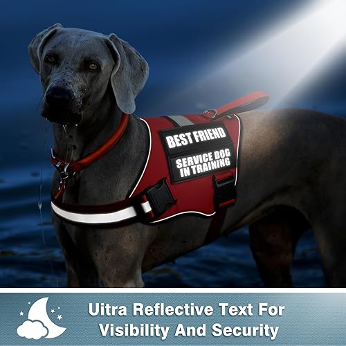 Miniatura 2 de WINSEE Parches reflectantes para perros de servicio, parche de terapia para arnés de perro de servicio (paquete de 2, L)