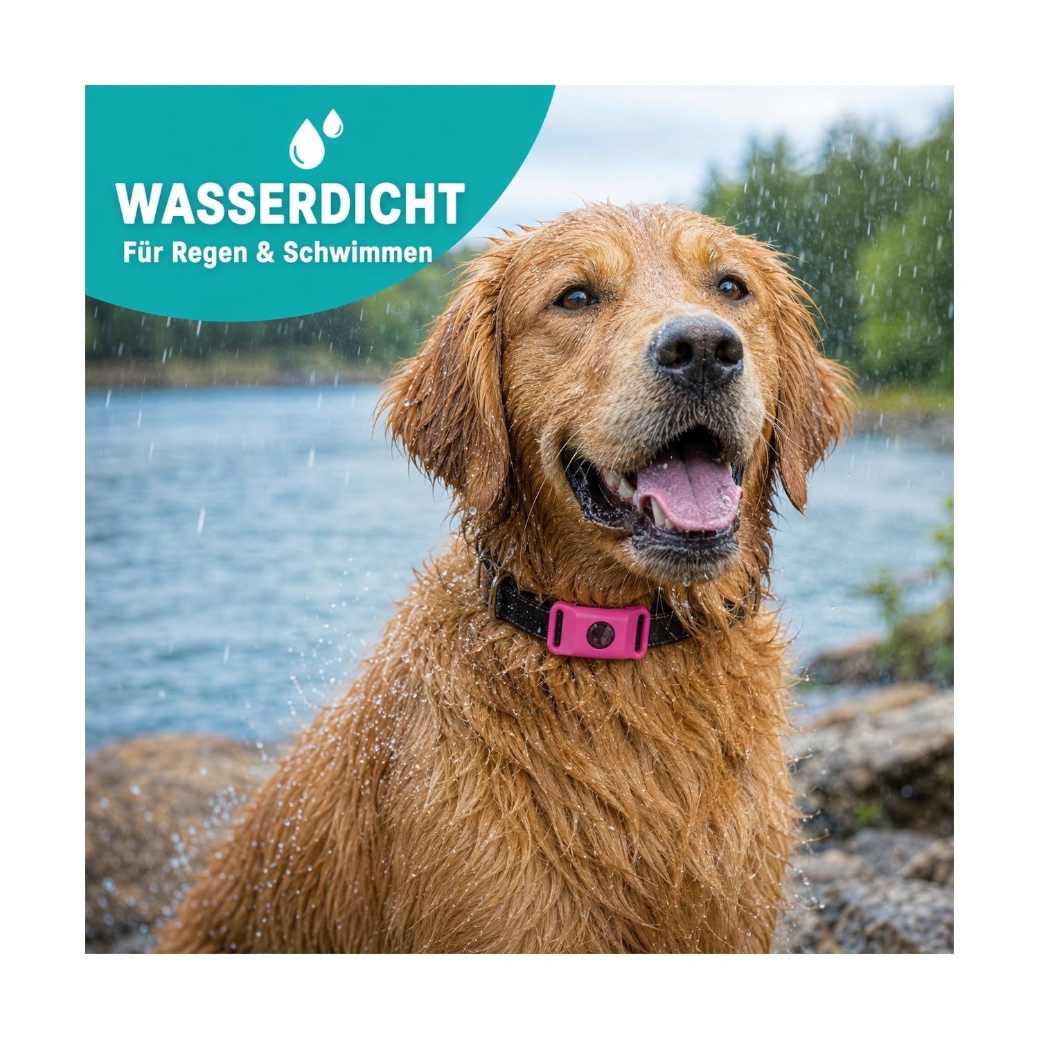 Zeckenschutz Hund natürlich ohne Chemie, 12 Monate Floh- und Zeckenanhänger, wasserdichter Halsbandanhänger mit ätherischen Ölen für kleine bis große Hunde