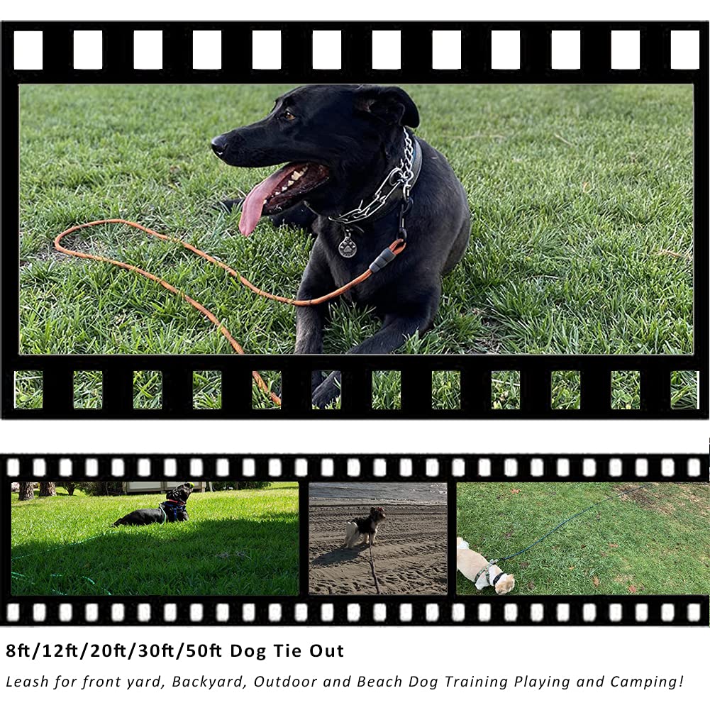 BTINESFUL Correa de cuerda larga para perro de 12 pies, 20 pies, 30 pies, 50 pies, ideal para perros grandes, medianos y pequeños, entrenamiento, jugar, acampar o patio trasero (12 pies, beige negro)