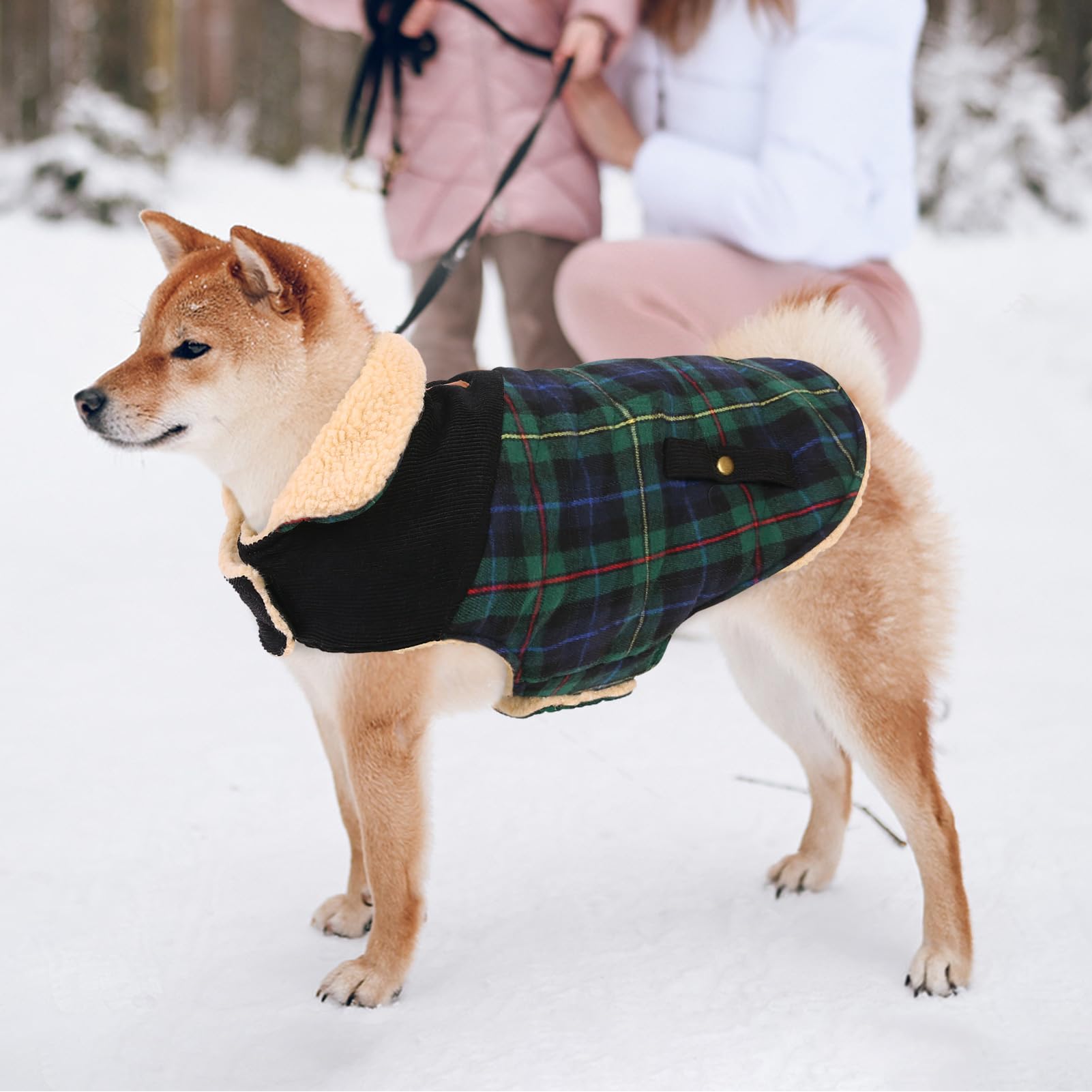 Abrigo Cálido De Invierno Para Perros, Chaqueta Con Anilla En D, Ropa Para Perros Pequeños Y Medianos, Traje De Bichón Para Chihuahua, Ropa Para Cachorros, Suministros Para Mascotas Compra Barata En