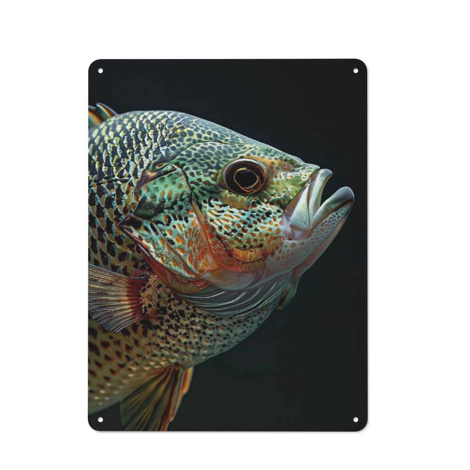 Metal Sign 40x30cm with Crappie Fish for Hallway Wall, Retro Decor, Gift for Hallway Decor Lovers during The Christmas Season